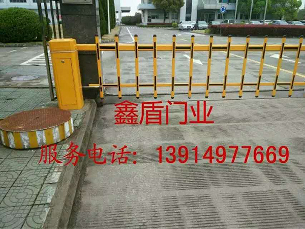 苗木基地